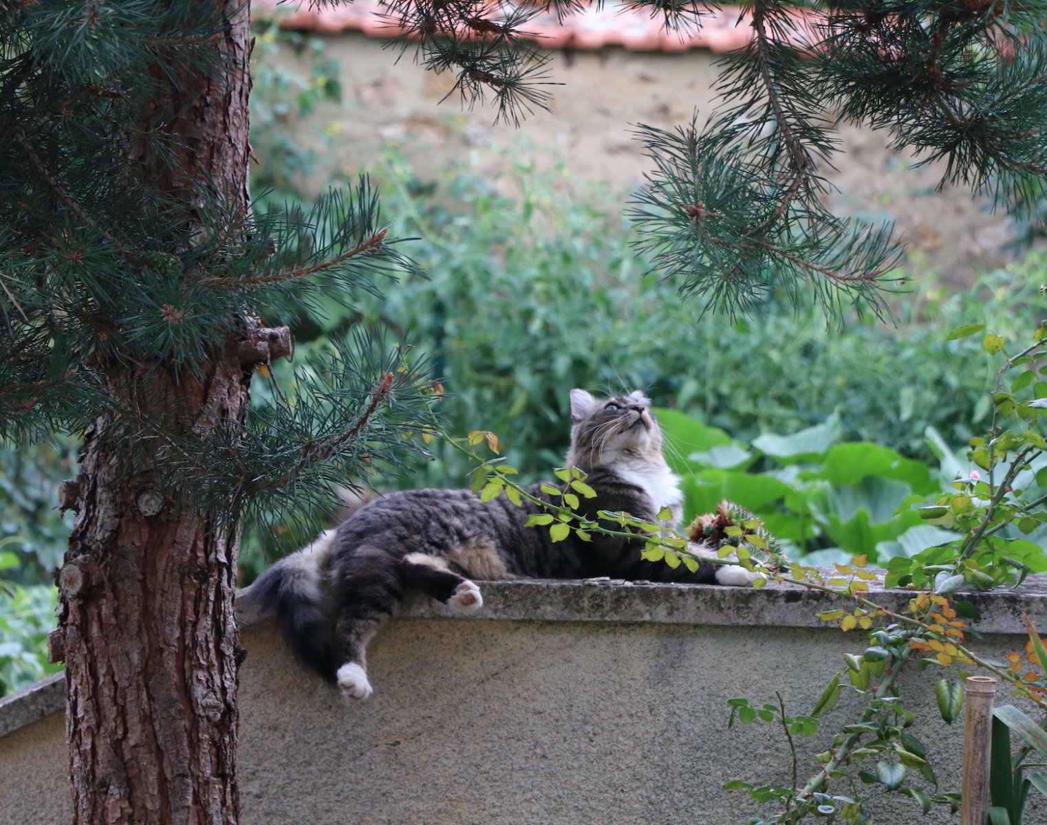 IMG_5463 — копия.JPG