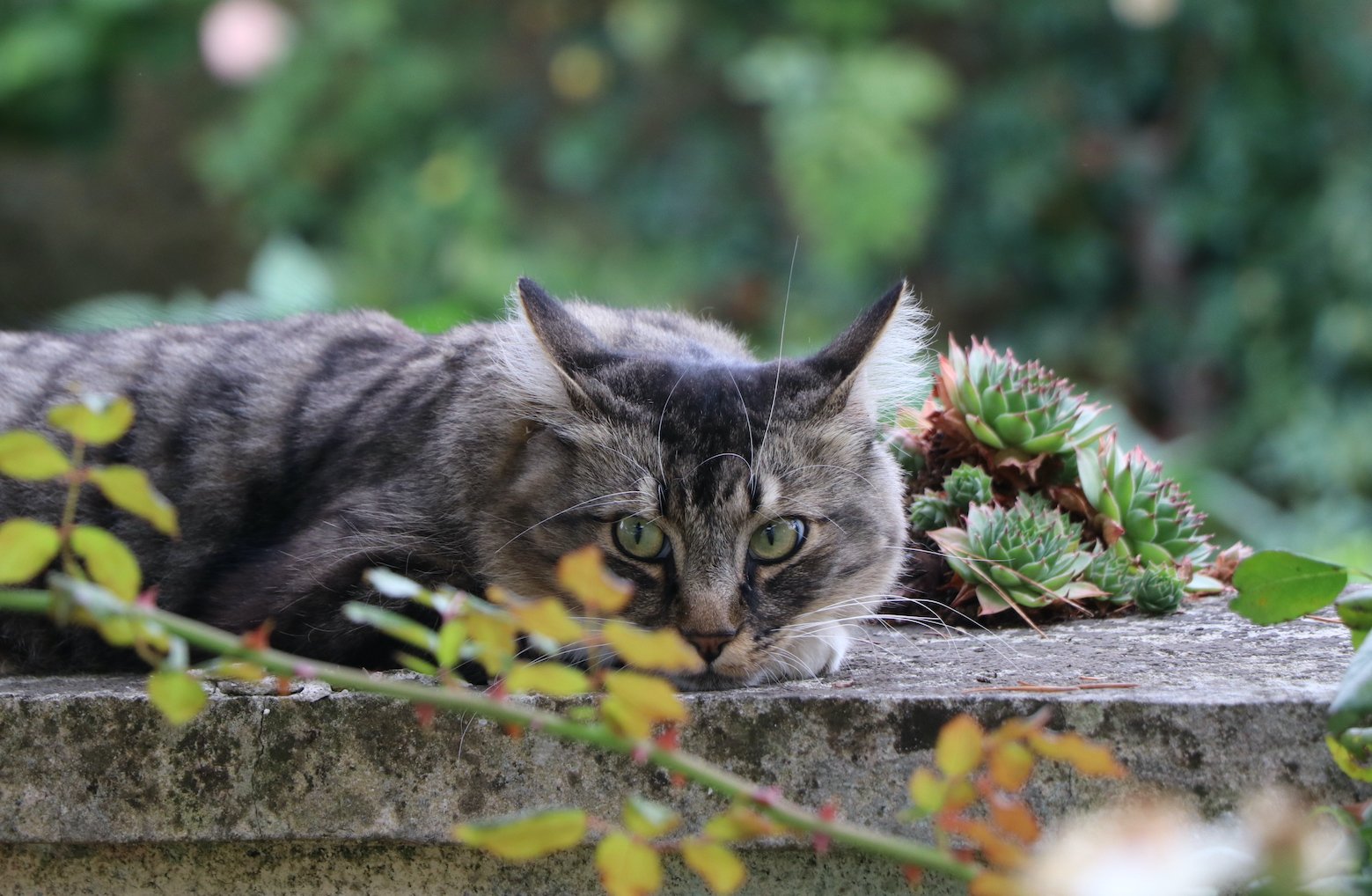 IMG_5472 — копия.JPG