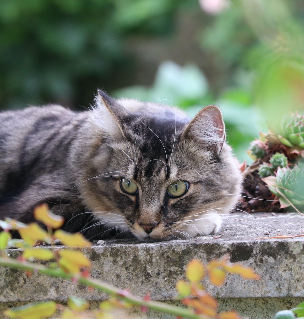 IMG_5473 — копия.JPG