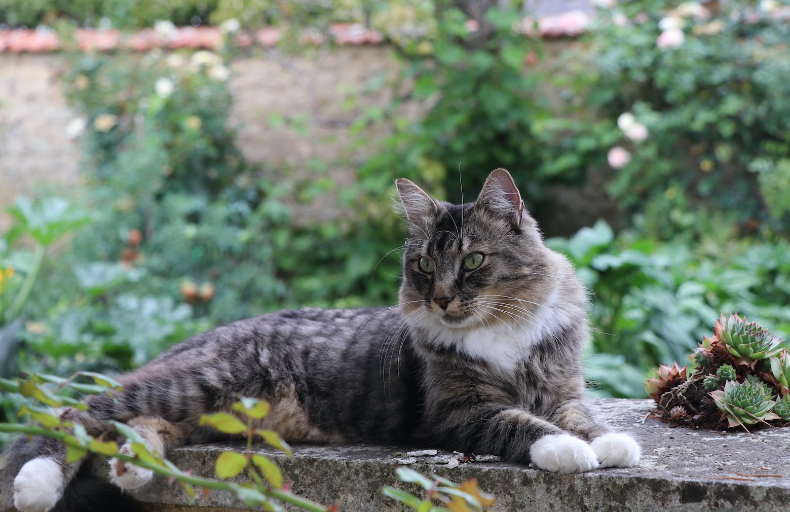 IMG_5479 — копия.JPG