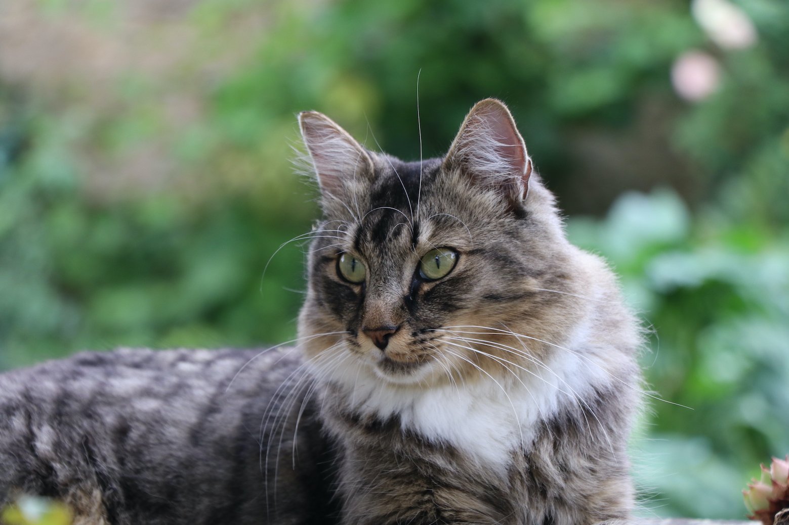 IMG_5480 — копия.JPG