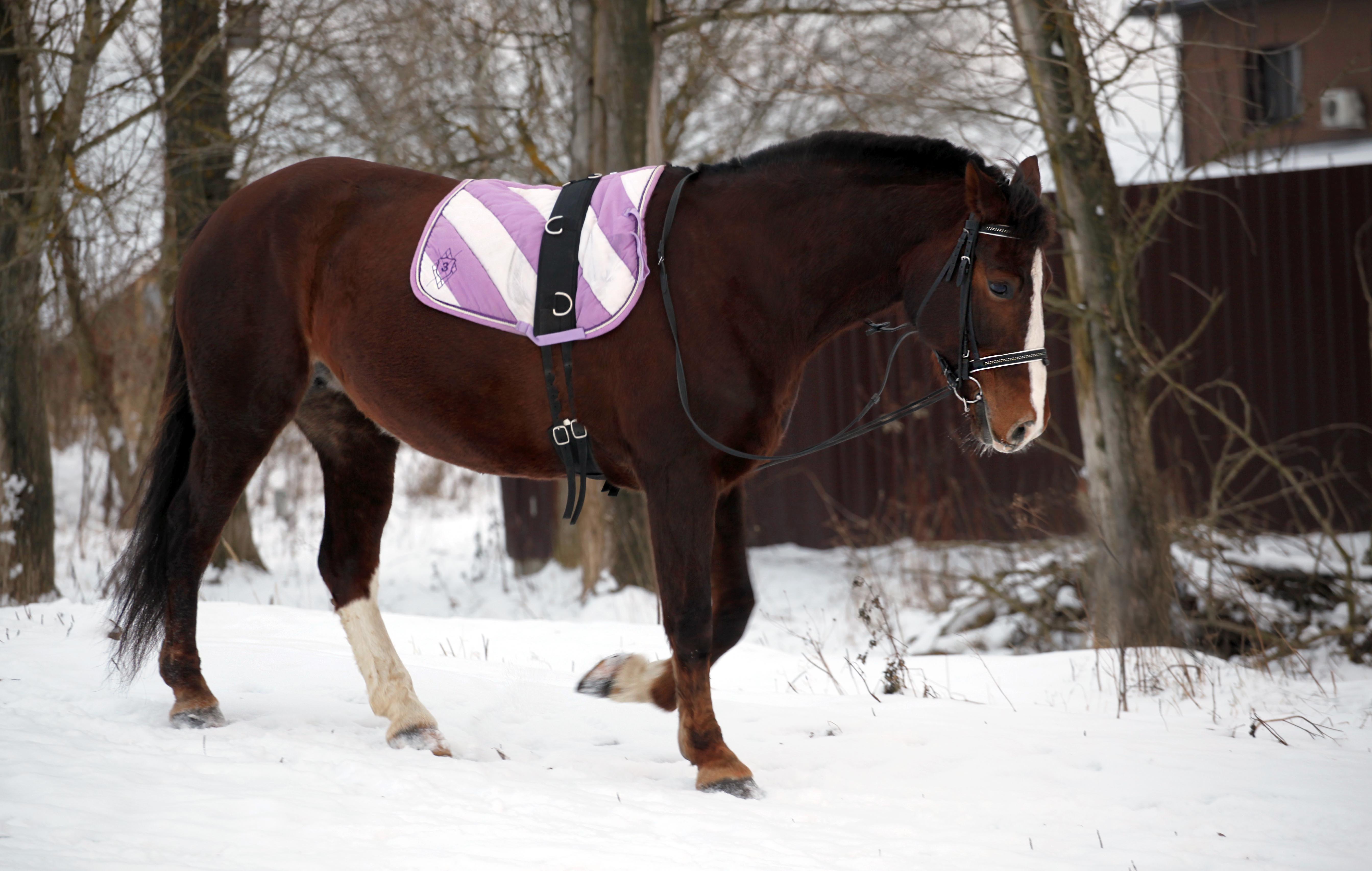 IMG_5677 копия.jpg