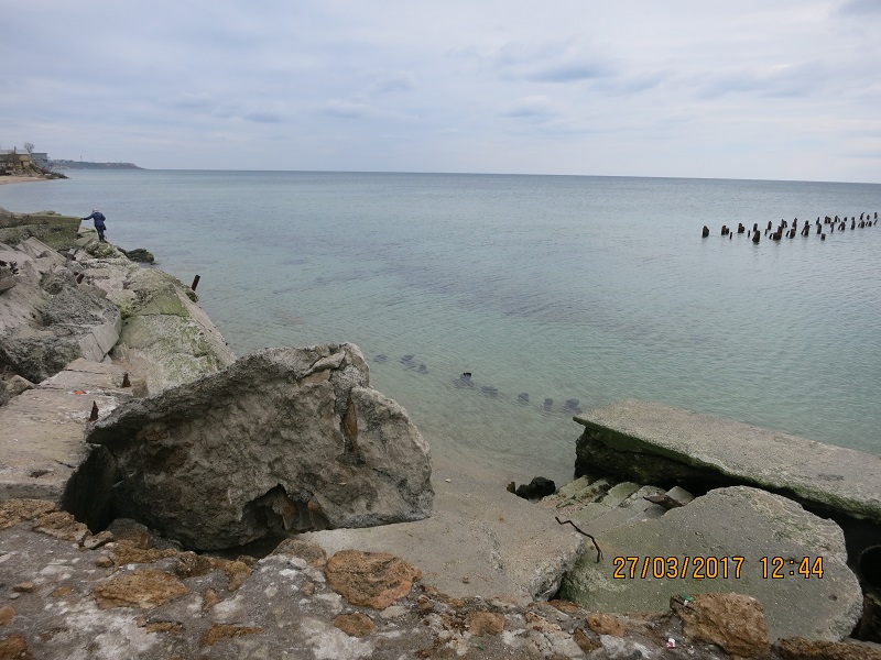 IMG_5786.JPG