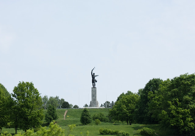 IMG_5858.JPG