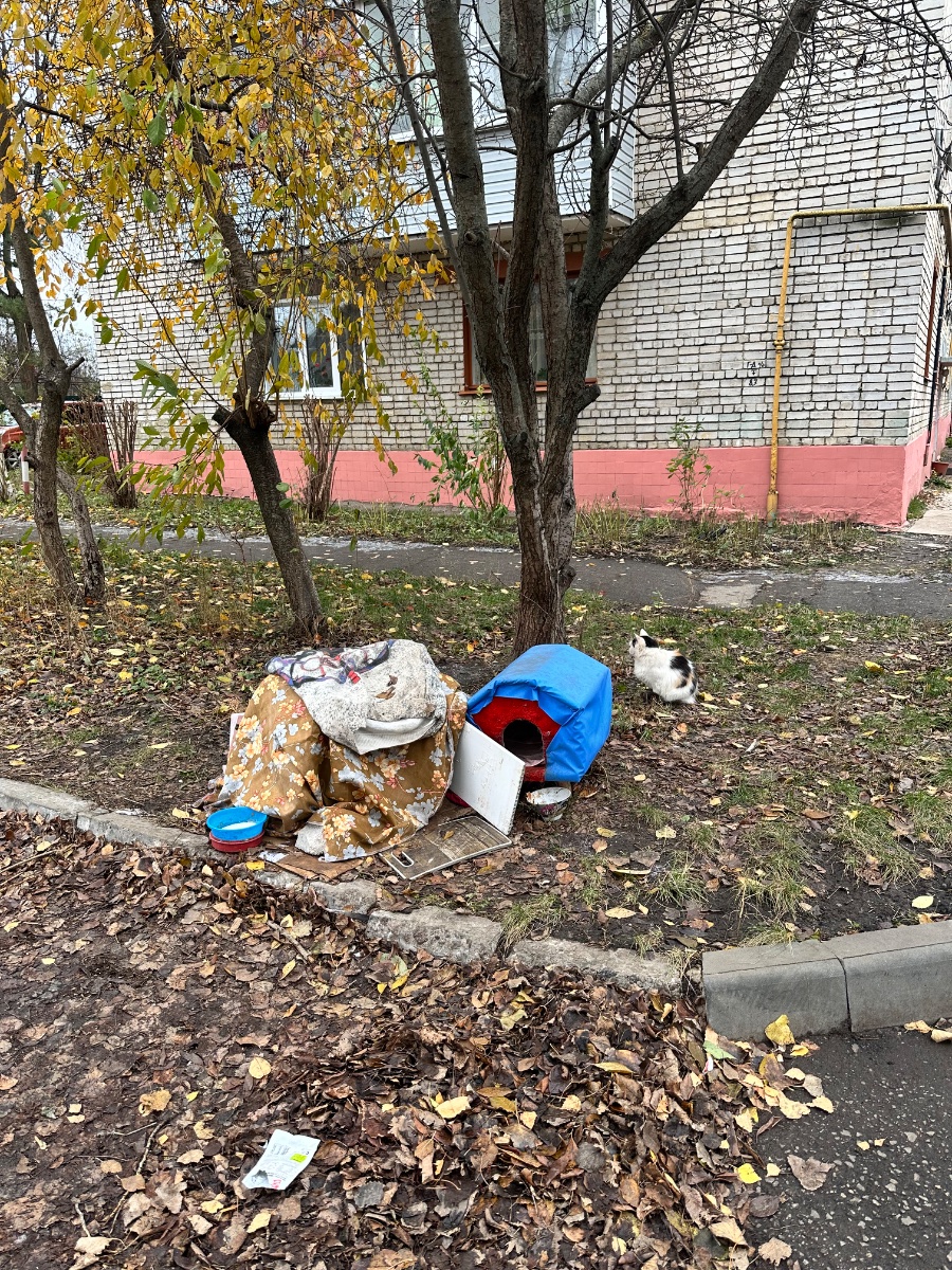 IMG_5905.jpeg