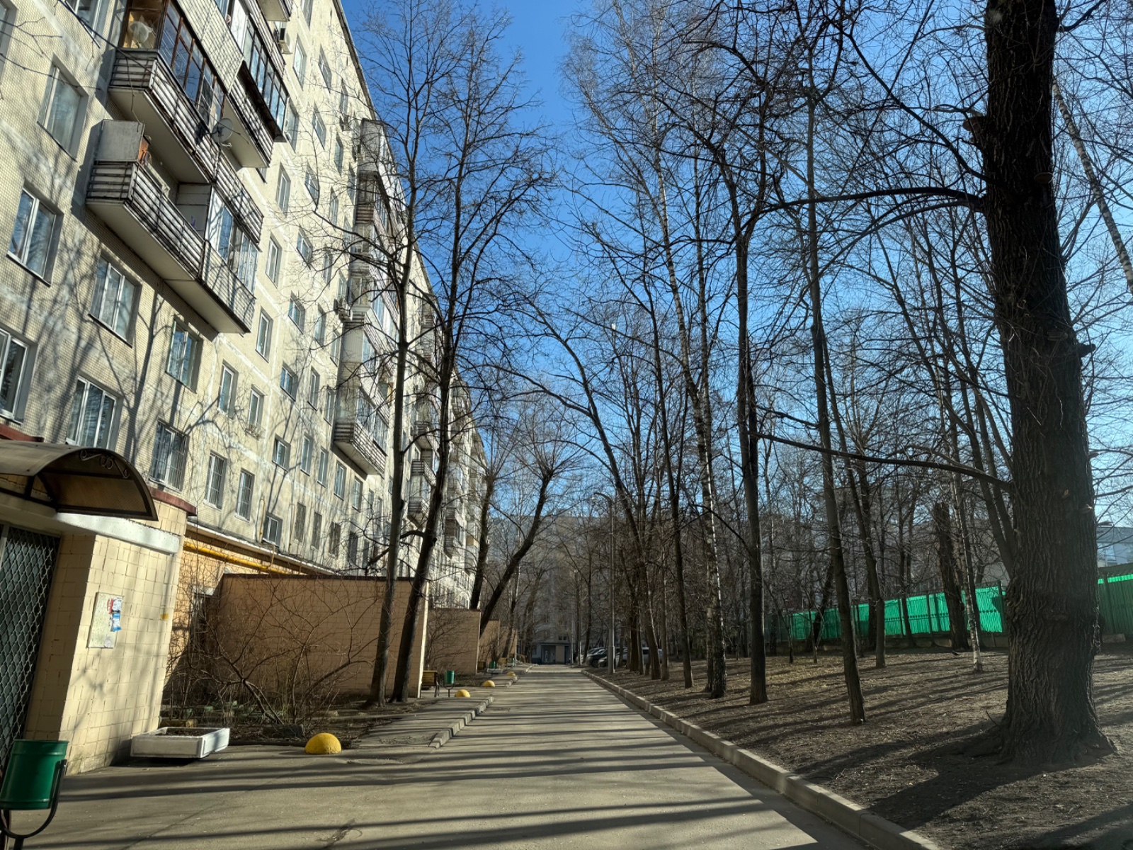 IMG_5987.jpeg