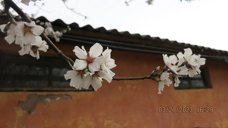 IMG_5996.JPG