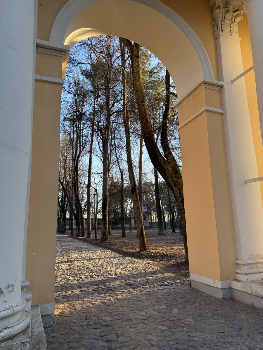 IMG_6041.jpeg