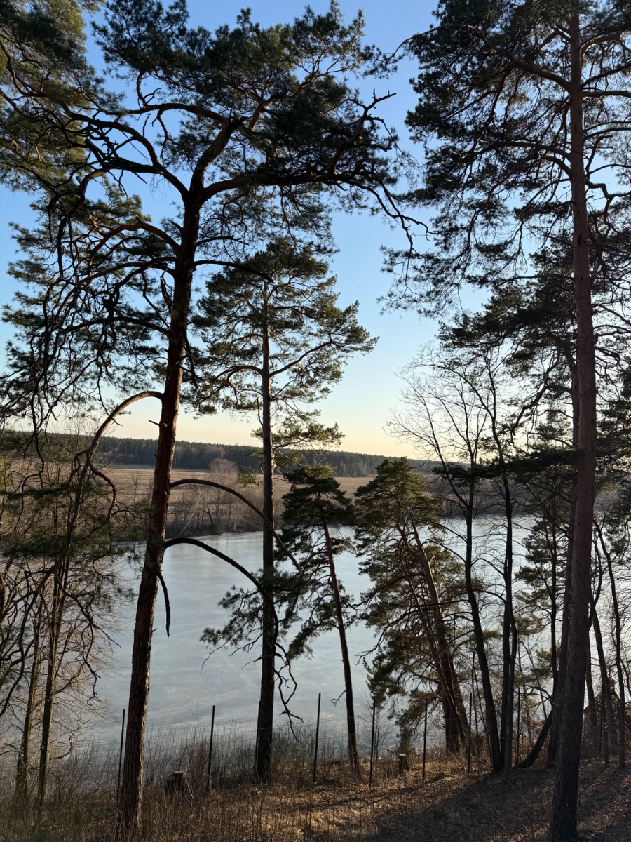 IMG_6044.jpeg