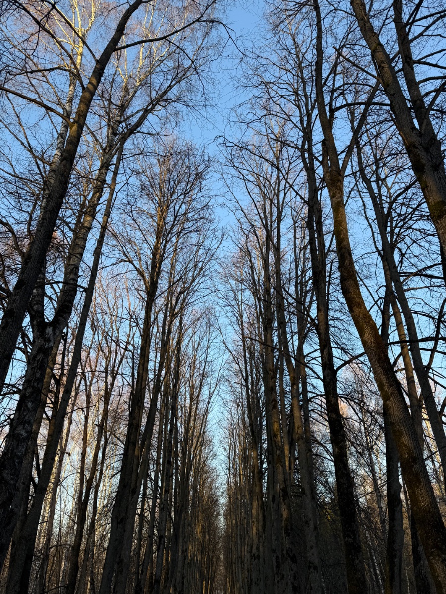 IMG_6052.jpeg