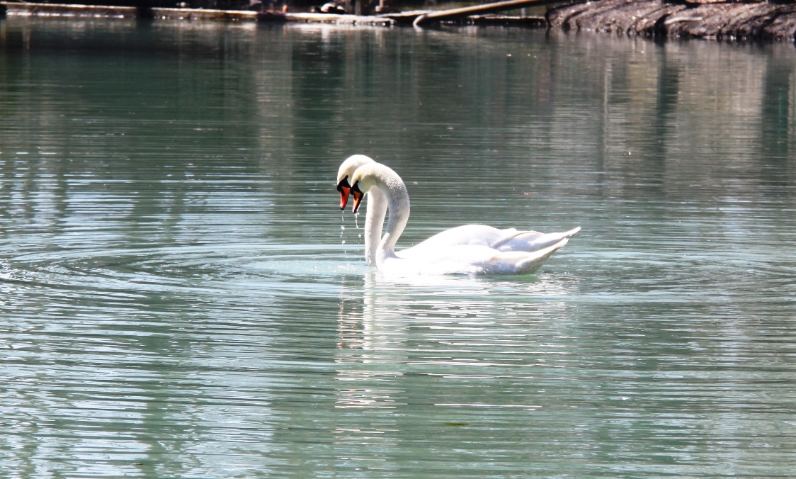 IMG_6150.JPG