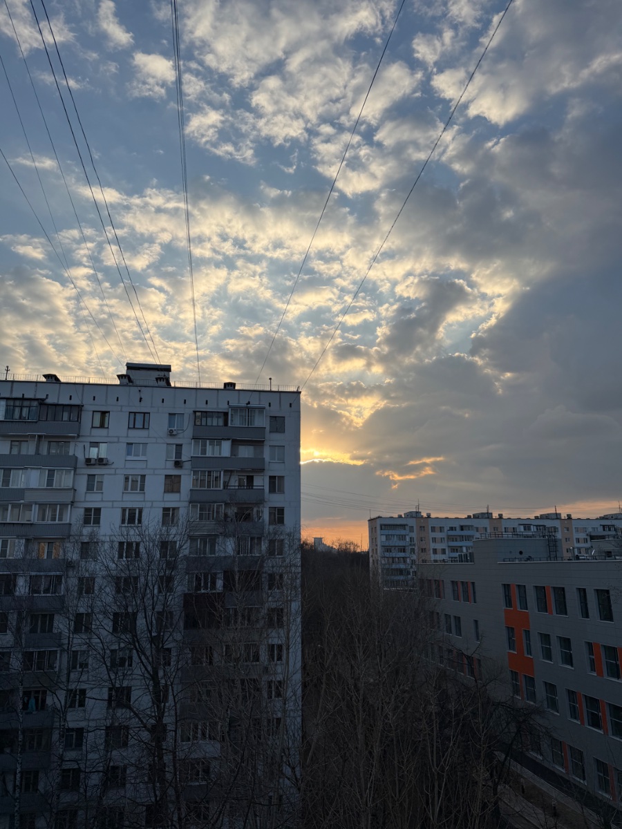 IMG_6161.jpeg
