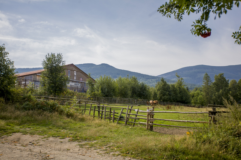IMG_6254.jpg