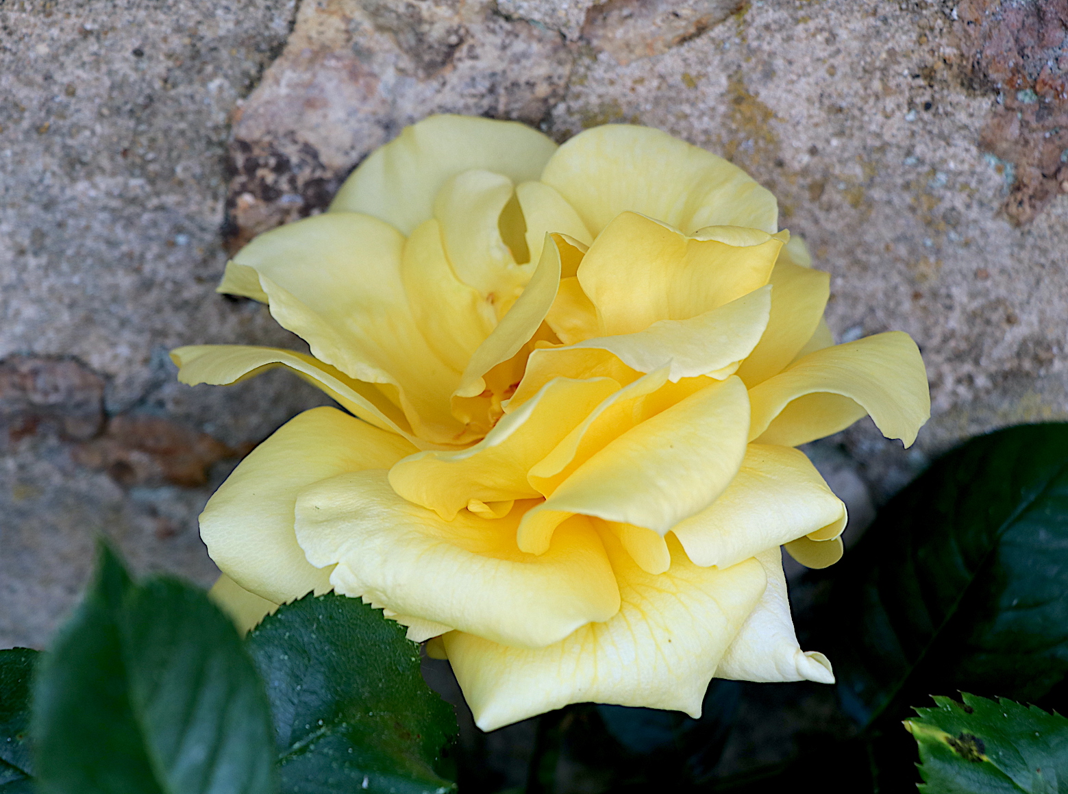 IMG_6265 copie.JPG