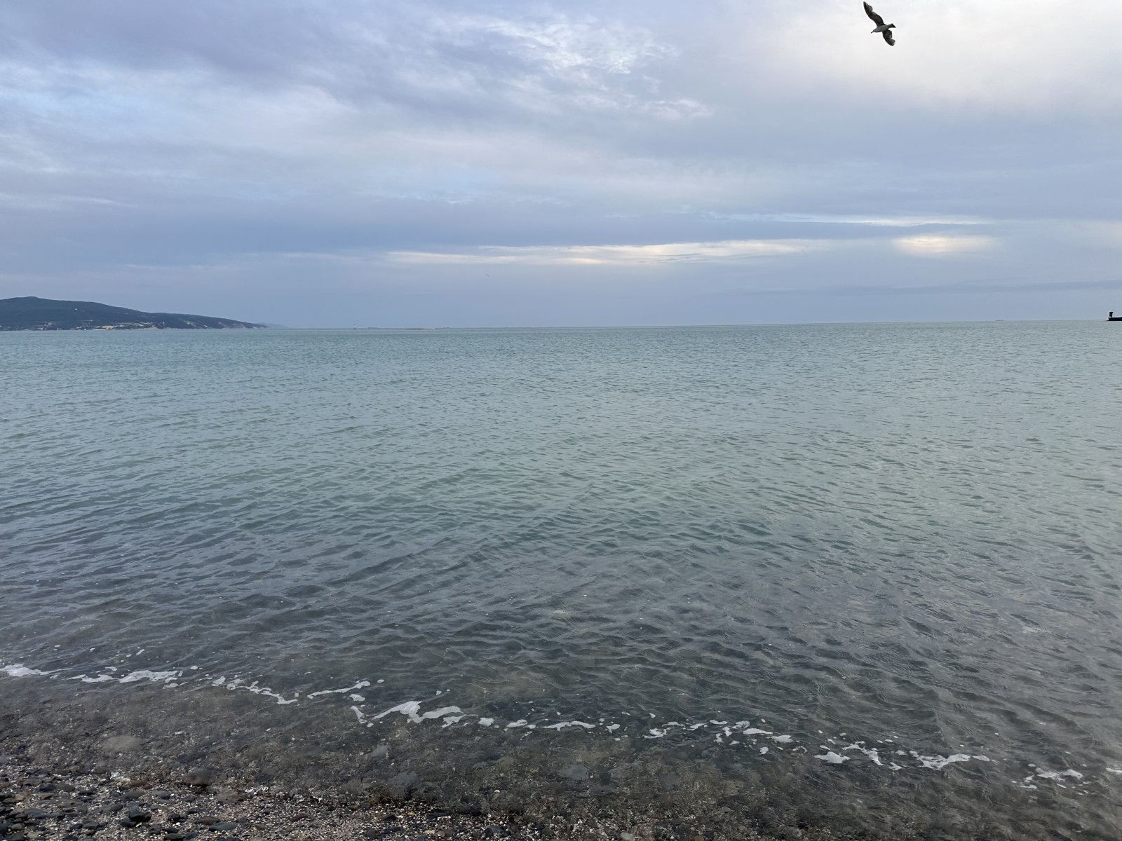 IMG_6318.jpeg