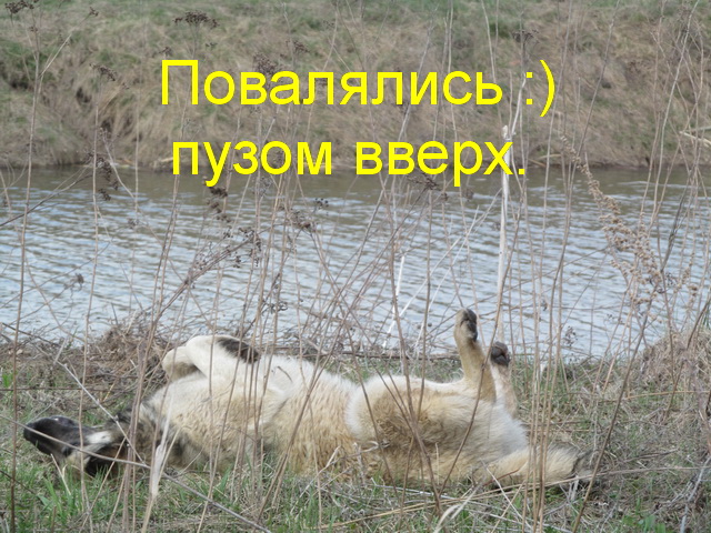 IMG_6321.JPG