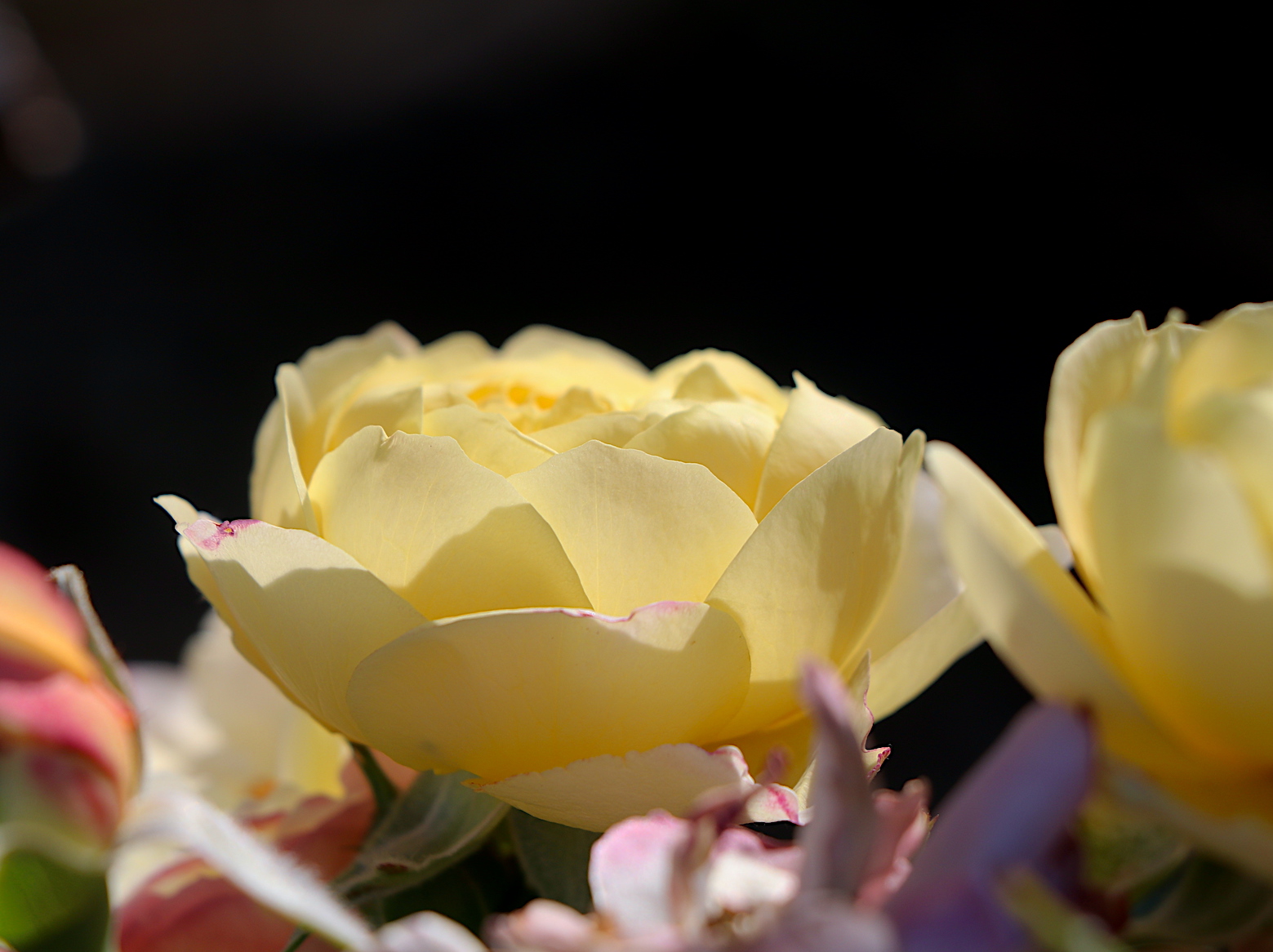 IMG_6369.JPG
