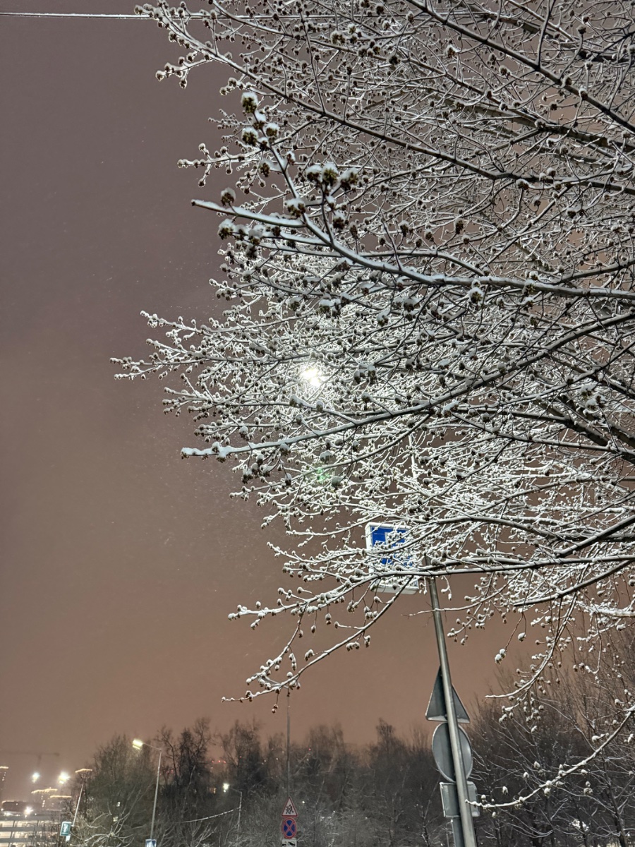 IMG_6390.jpeg