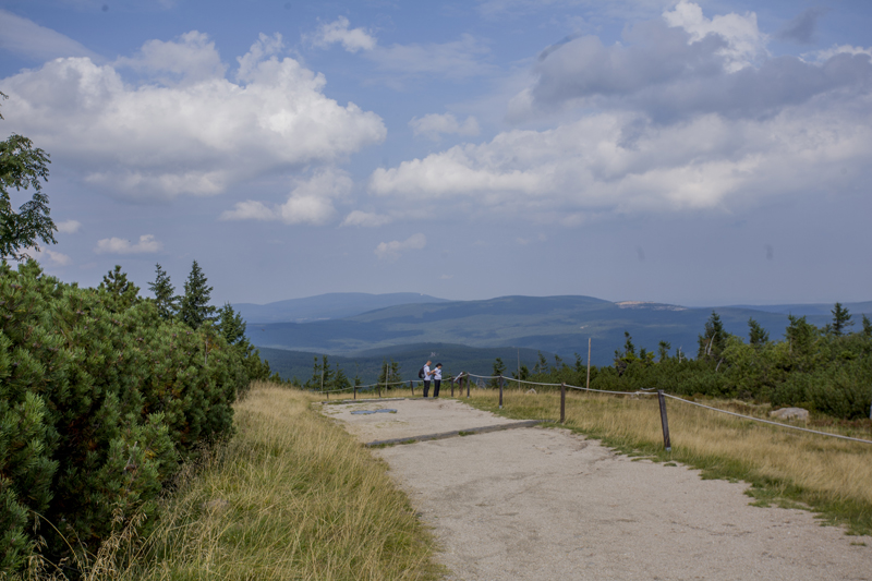 IMG_6423.jpg