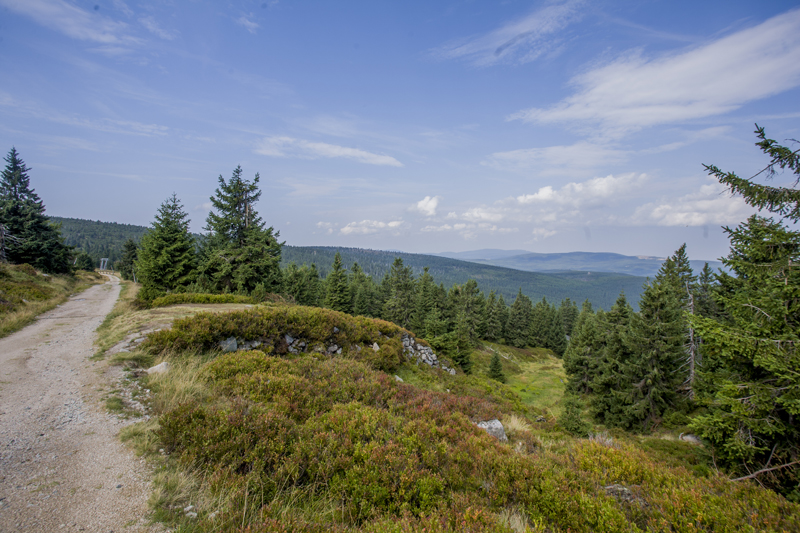 IMG_6437.jpg