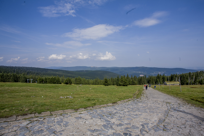 IMG_6450.jpg