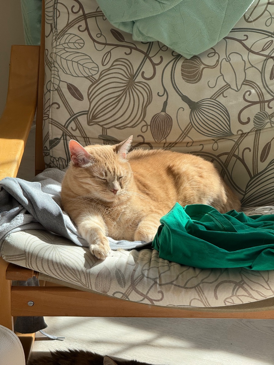 IMG_6458.jpeg