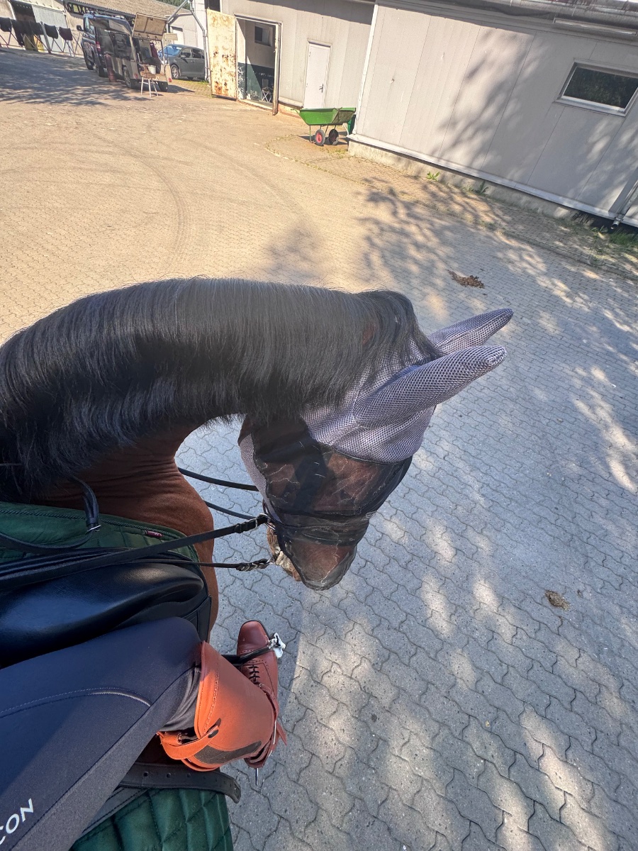 IMG_6484.jpeg