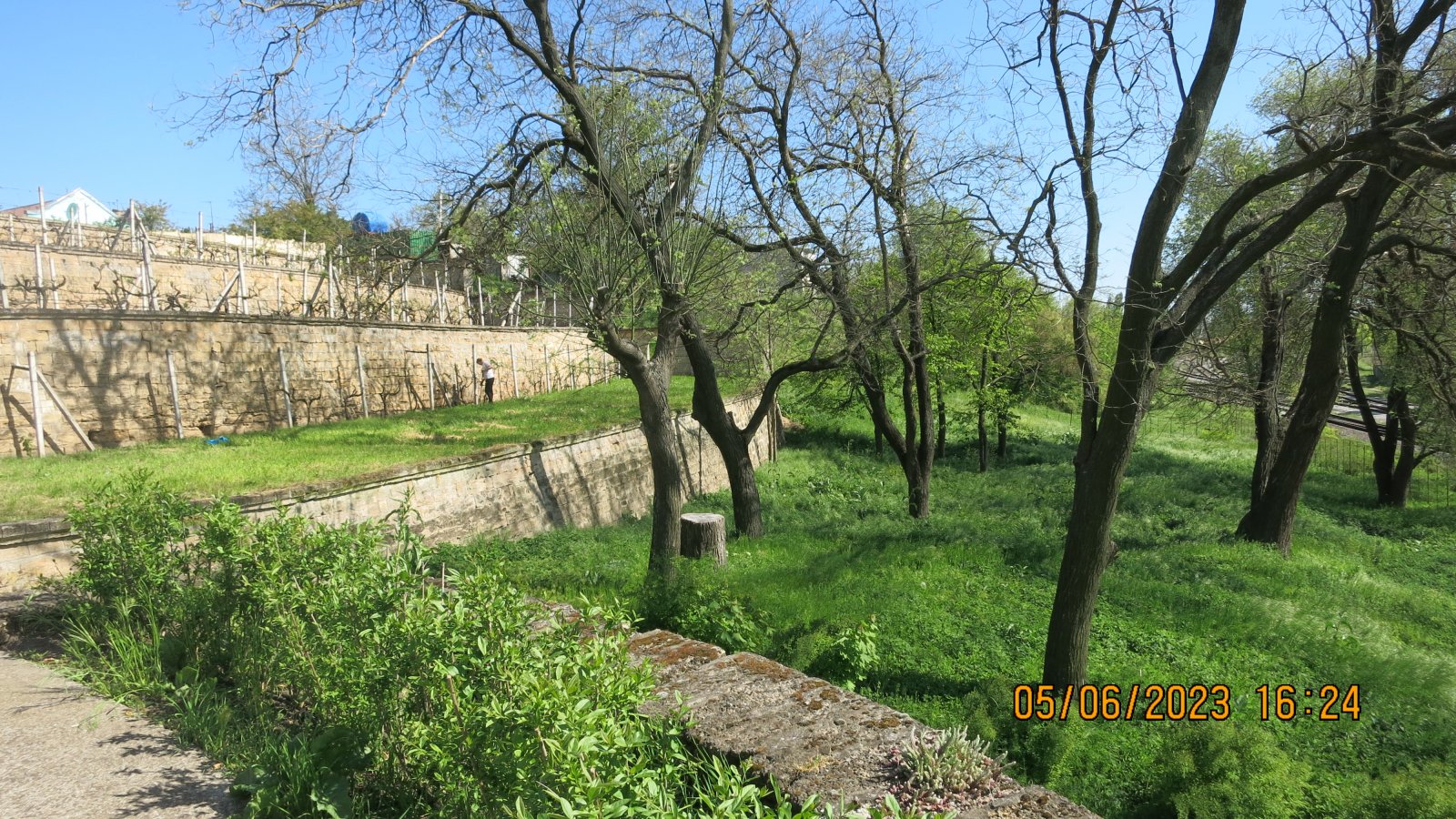 IMG_6521.JPG