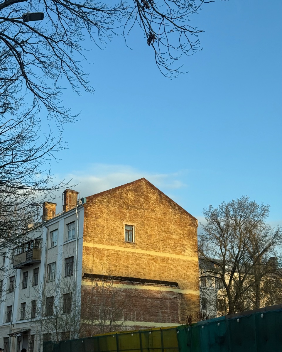 IMG_6536.jpeg
