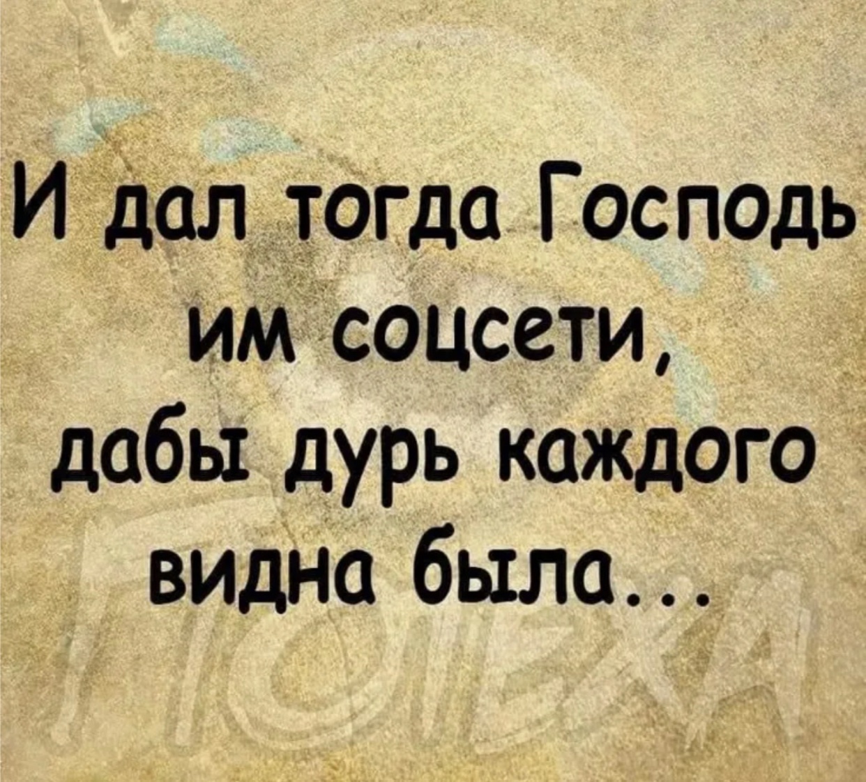 IMG_6625.jpeg
