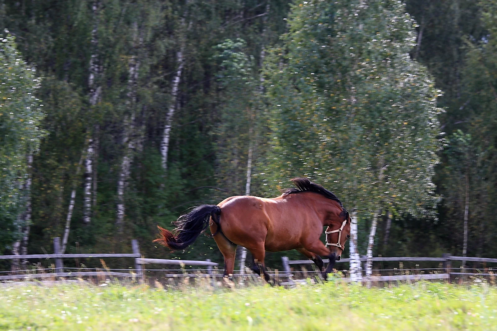 IMG_6675.webp
