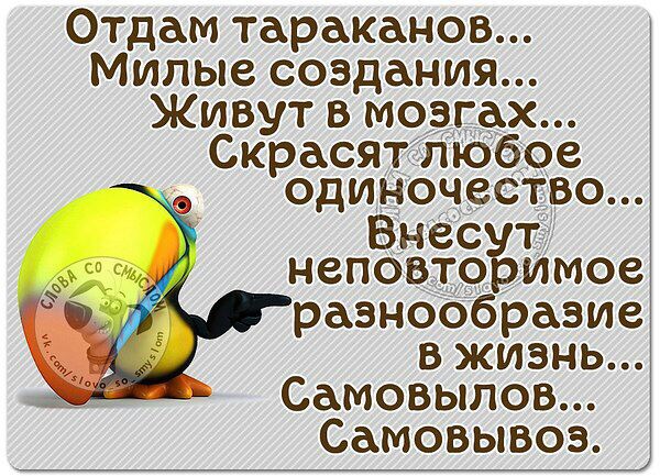 IMG_6686.JPG