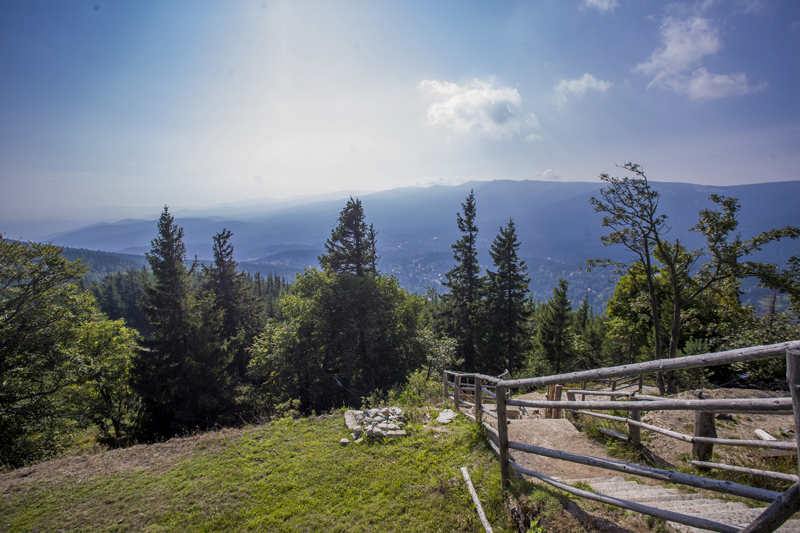 IMG_6699.jpg
