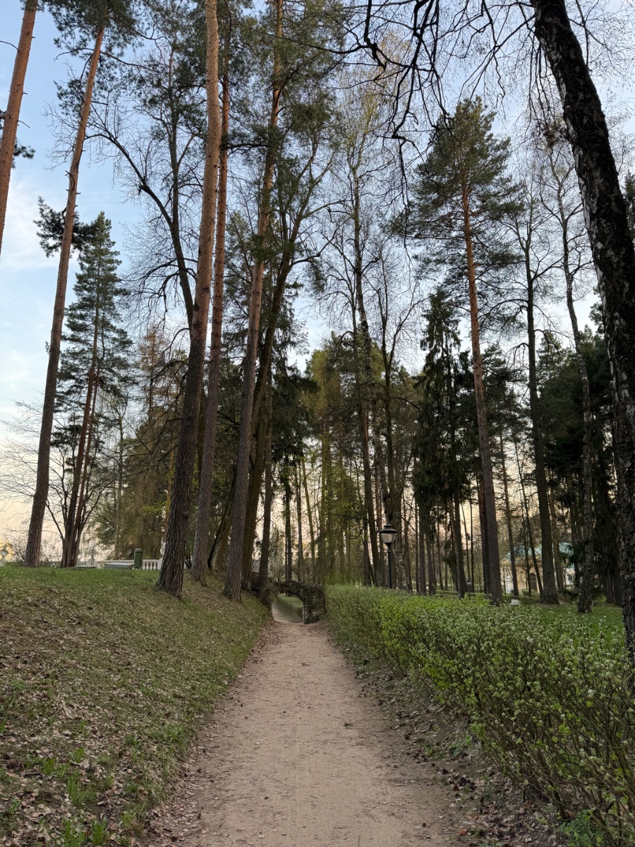 IMG_6781.jpeg
