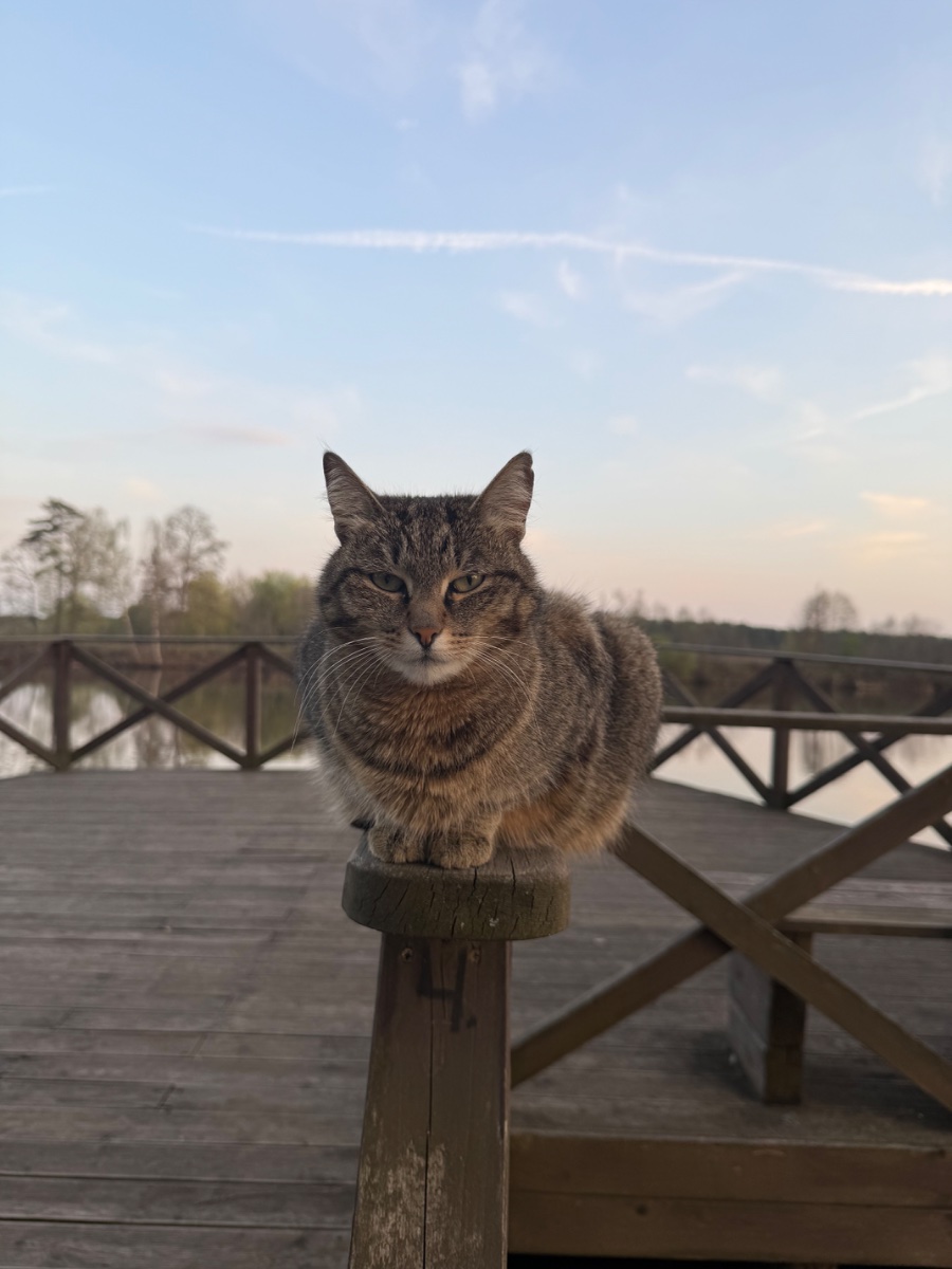 IMG_6791.jpeg