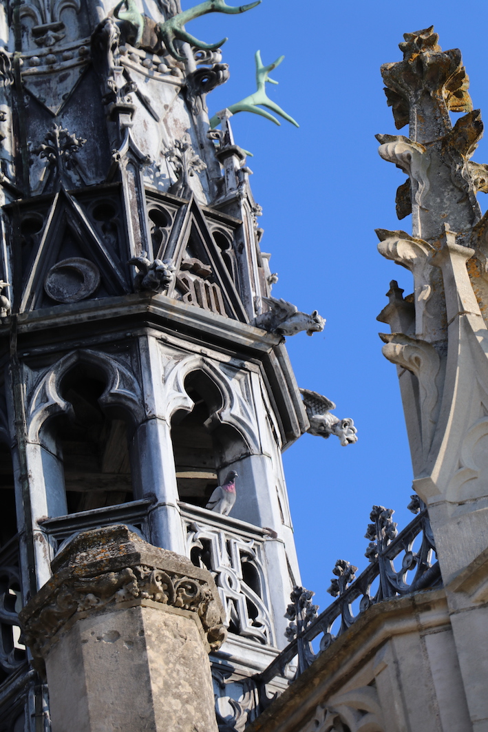IMG_6813 - copie.JPG