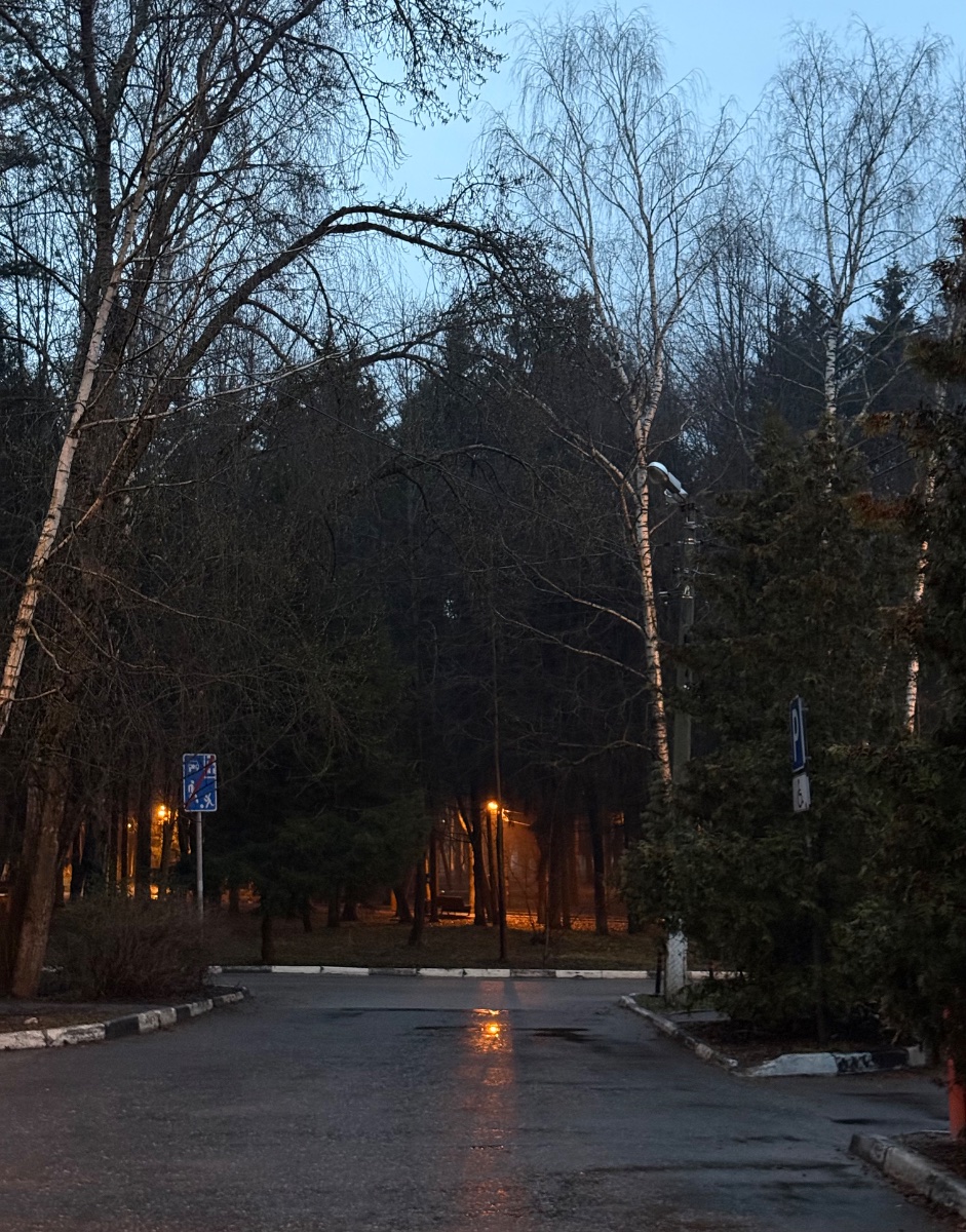 IMG_6838.jpeg