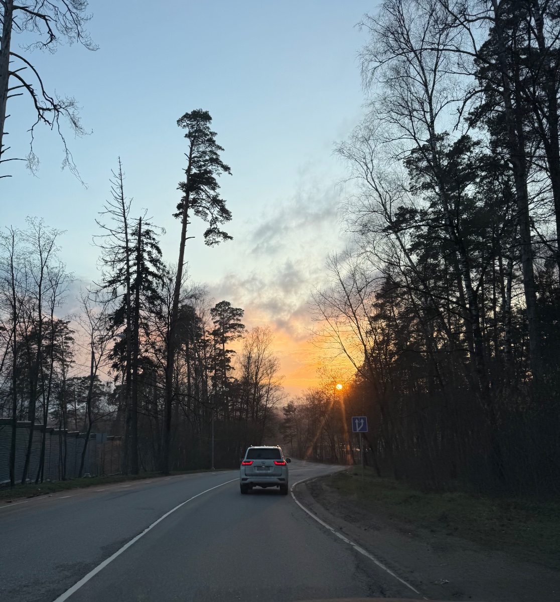 IMG_6873.jpeg