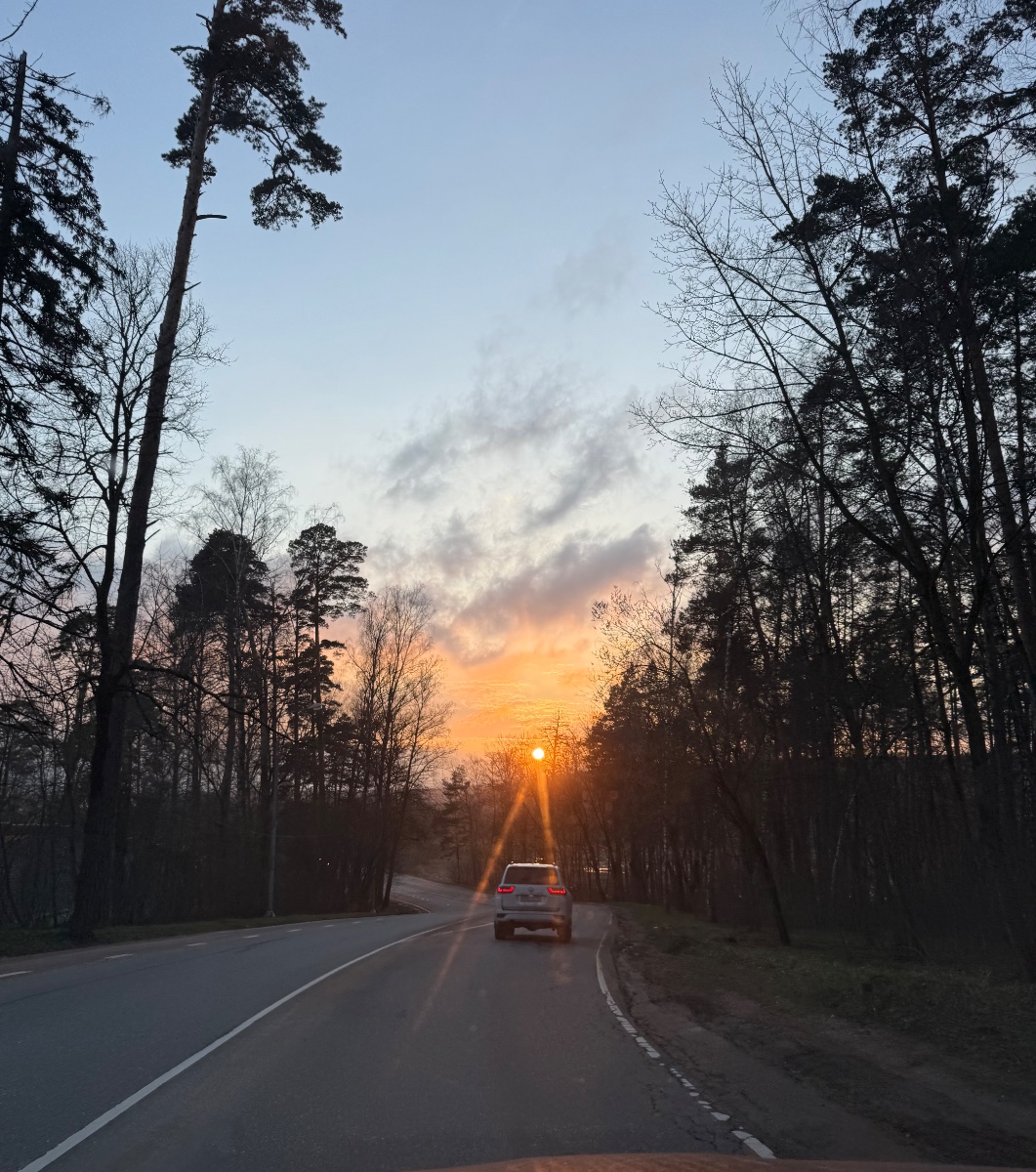 IMG_6874.jpeg