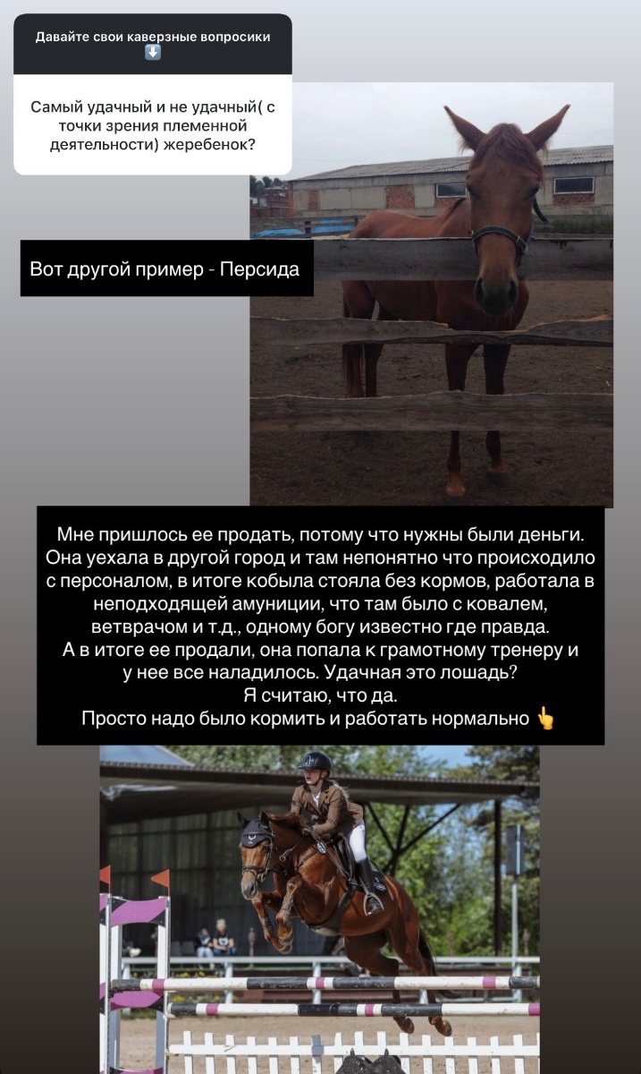 IMG_6896.jpeg