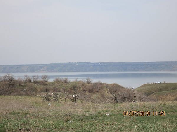 IMG_7012.JPG