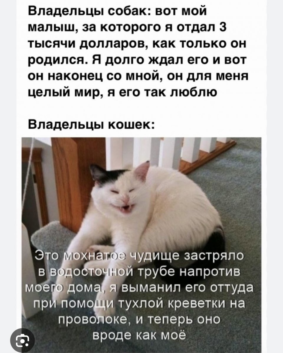 IMG_7097.jpeg