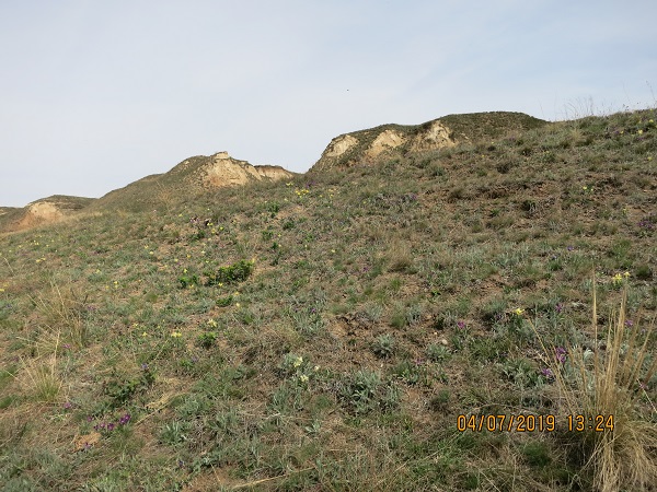 IMG_7124.JPG