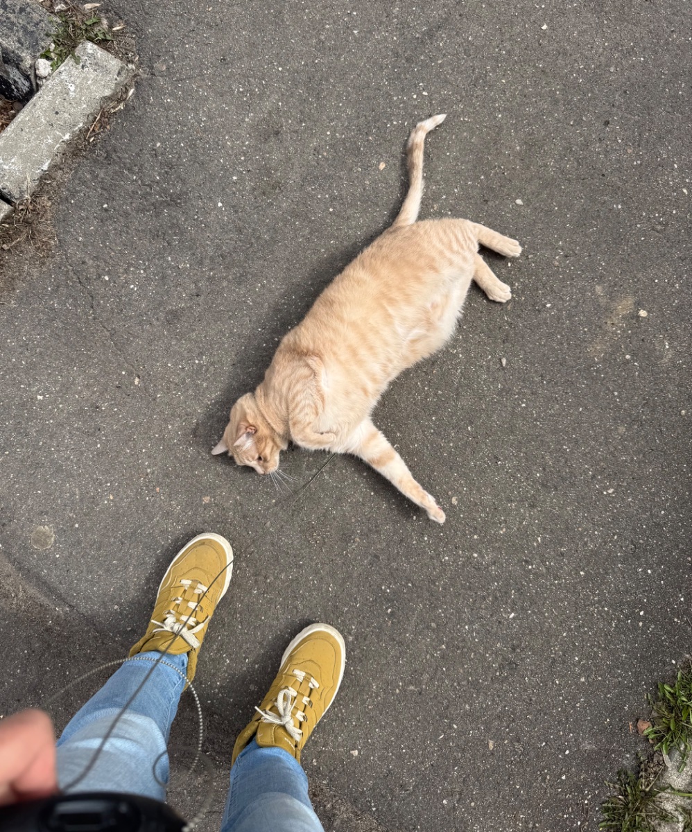 IMG_7192.jpeg