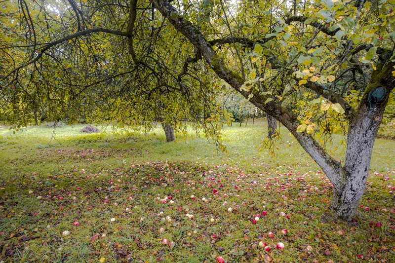 IMG_7199.webp