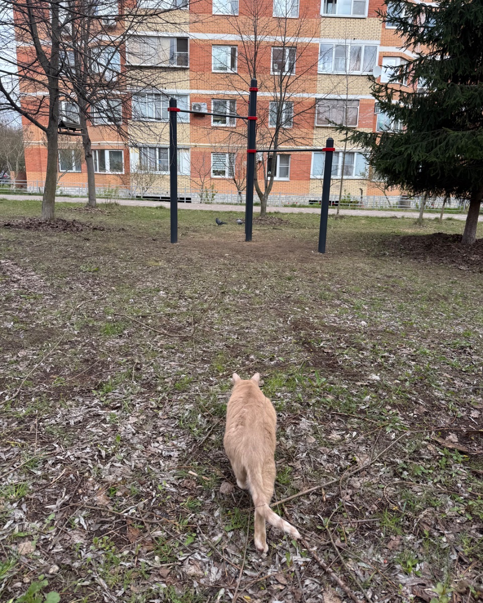 IMG_7201.jpeg