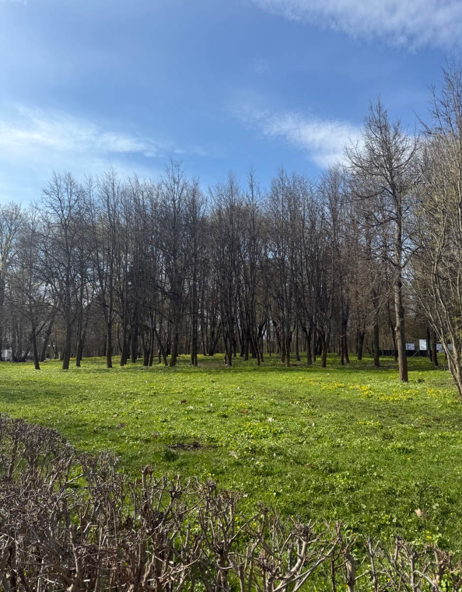 IMG_7210.jpeg