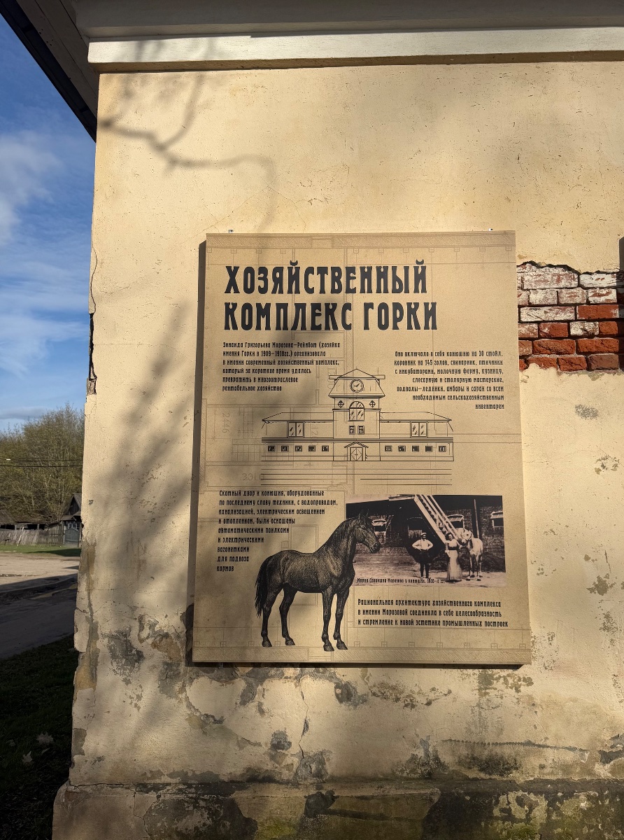 IMG_7240.jpeg
