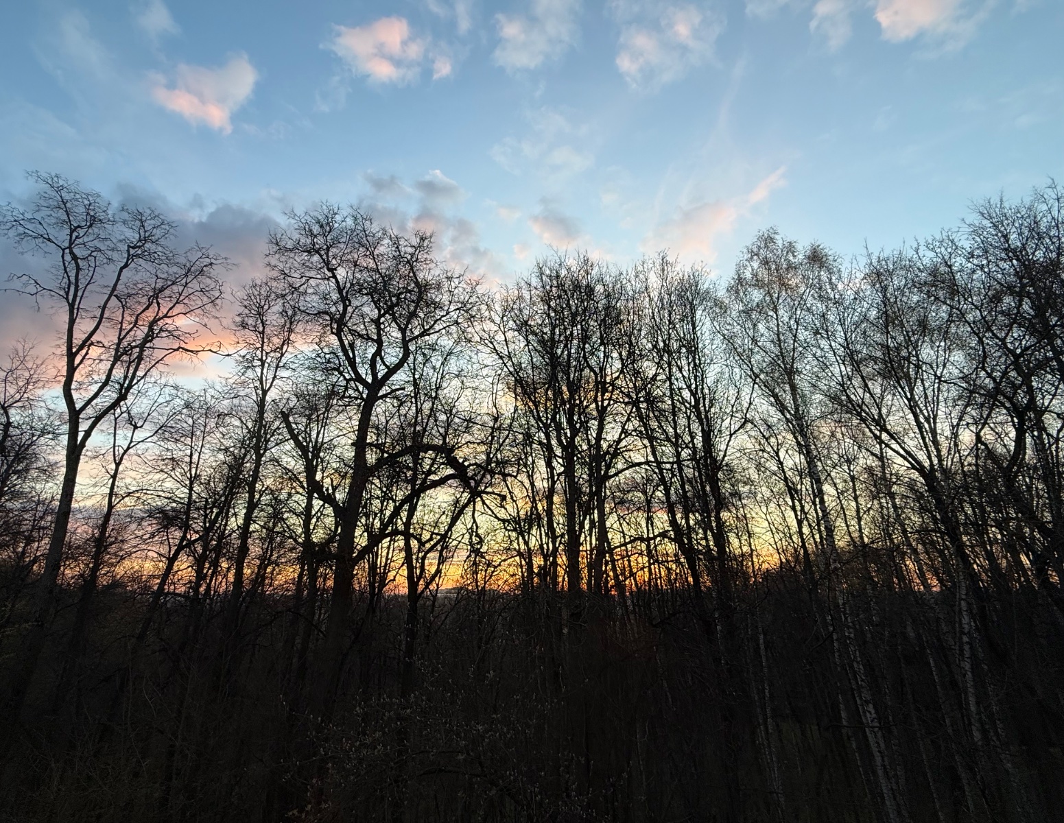 IMG_7350.jpeg