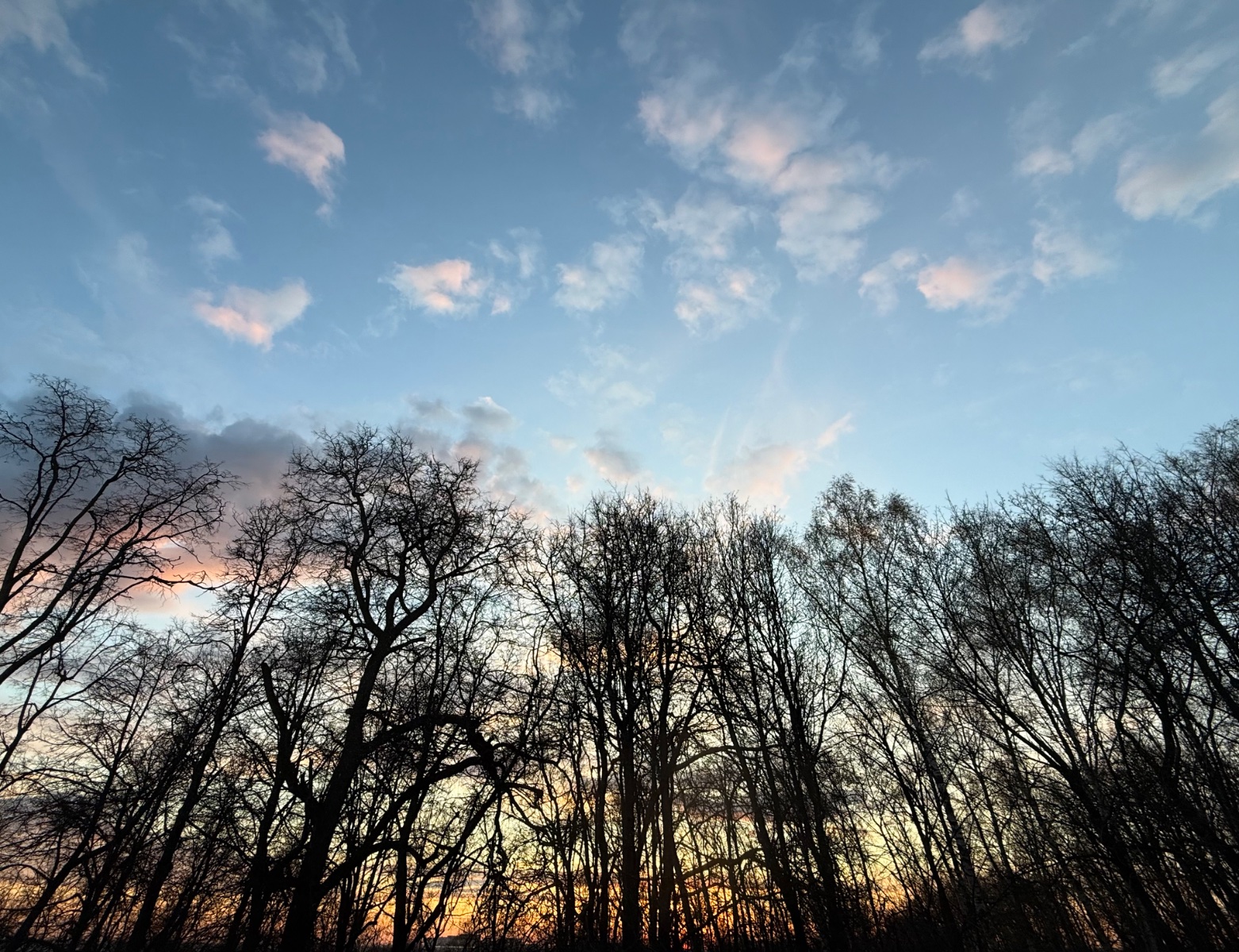 IMG_7351.jpeg